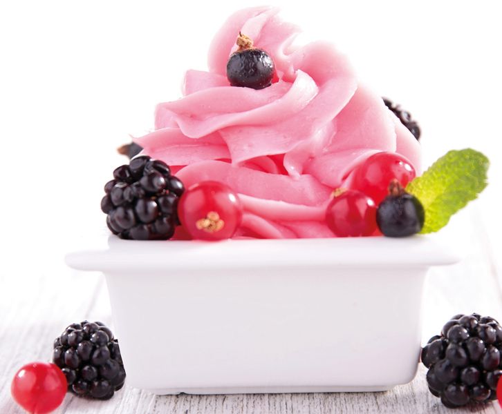 Frozen_Yogurt2