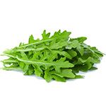 Rucola
