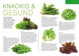 Knackig und Gesund Nooz - Knackig und Gesund