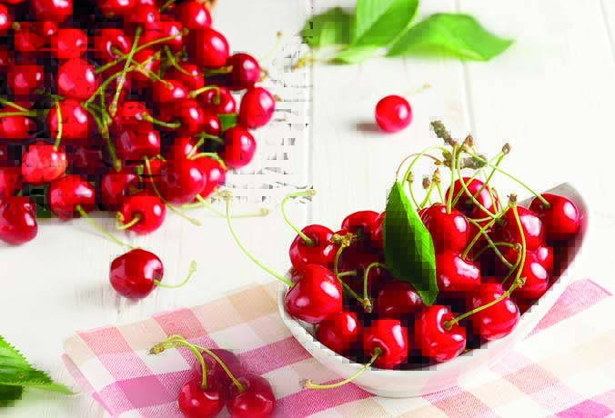 Foto: Shutterstock/Vlastimil Kuzel Fakten -Kirschen_1