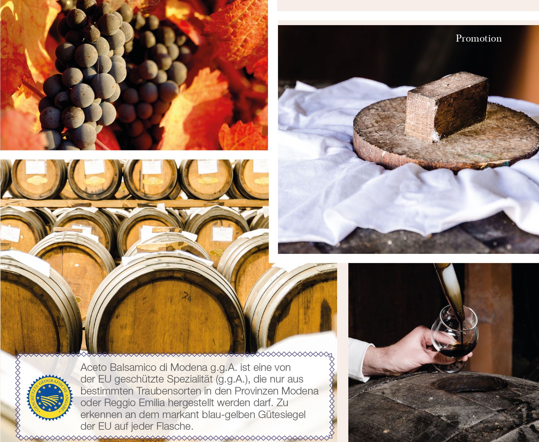 aceto-balsamico-di-modena-gga