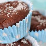 bananen-schoko-muffins-mit-kokosmehl-150x150