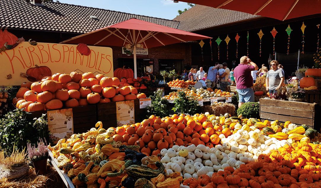 Fotos: Peter Zens – Landwirt und Inhaber des Gertrudenhofes; Astrid Cordes, Elke Boggasch, Alexander May kuerbis-3