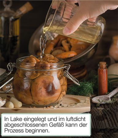 Fotos: Shutterstock/Daria Proskuryakova luftdicht-abgeschlossenes-gefaess