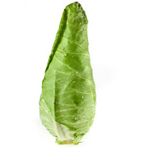 Foto:: Shutterstock/Madlen  spitzkohl