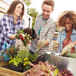 outdoor_garten_web_1