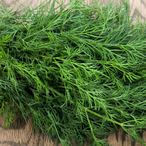 dill-blog